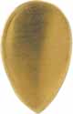 Inlay,
Tear Drop,
0.56" by 0.88", brass 0.040" thick